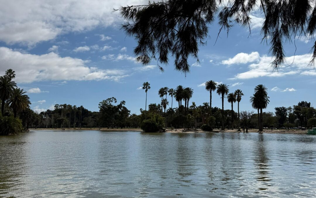 ¿Conectás con la naturaleza en la ciudad?
